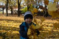20191020%20Prech%C3%A1dzka%20Kam%C3%A9lia%20DSC%206617.jpg