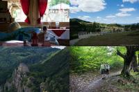 .%2F2015.07%20Salas%20Panorama%20-%20Hrad%20Strecno