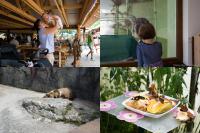 .%2F2015.08%20Bojnice%20ZOO